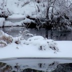 14 Years on WordPress