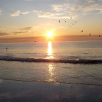 I Have Found so Many Items as a Treasure Hunter but