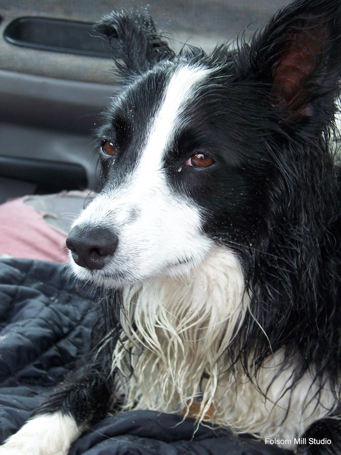 100_2586 Wet and Tired
