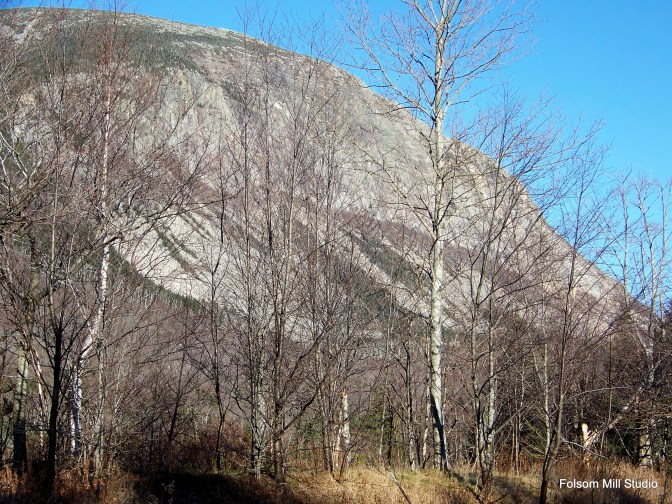 Thanksgiving Morning