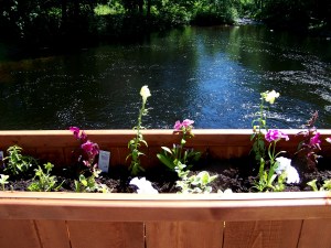 Flower Boex for the downtown granite bridge