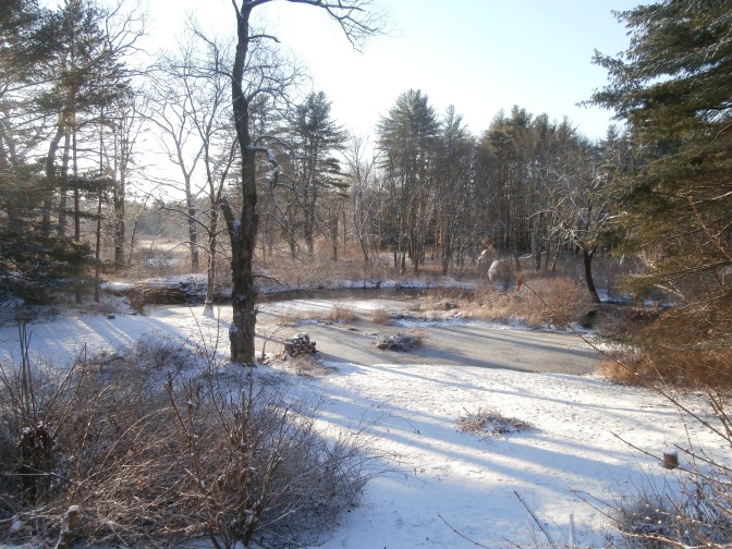 December 11 early morning as the sun appears