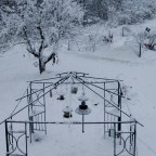 Let’s Stay Focused I Tell Myself