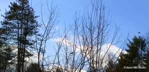 WP_20140325_15_48_49_Pro