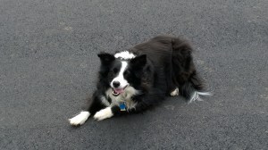 WP_20140418_15_59_22_Pro