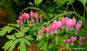 WP_20140517_11_28_37_Pro