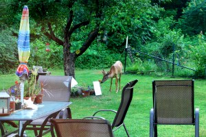 Bet he never saw his pretty face before :)