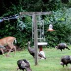 I Really Dislike Dryers