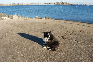 Sitting still for the photo she clearly is not wanting to be taken lol