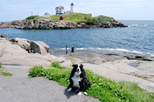 JT with us at NUBBLE in Maine