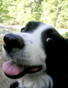 now 9 years old where has the time gone :(