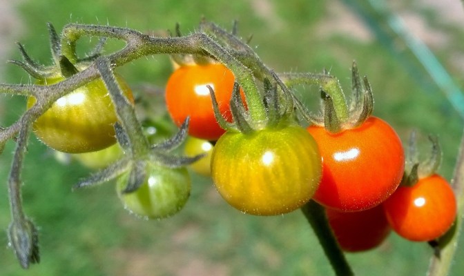 WP_20160809_11_13_17_Pro