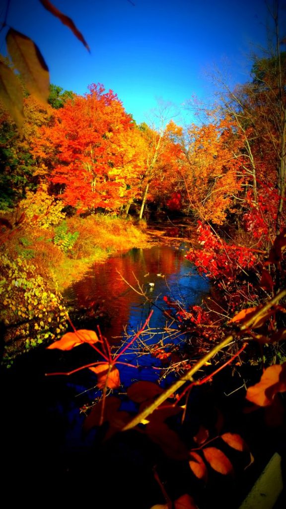 lamprey river epping nh by e.miller