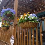 Create(creating everyday)