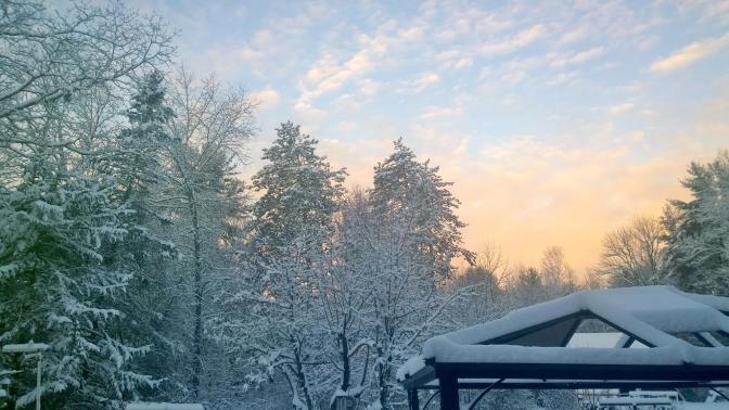 25074815_10212386481471828_6040838547478895121_o