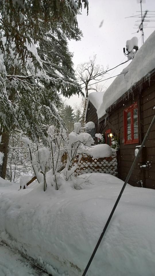 29214646_10213172996294207_8996804729510035456_n