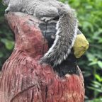 Some Days We Just Need To Rest