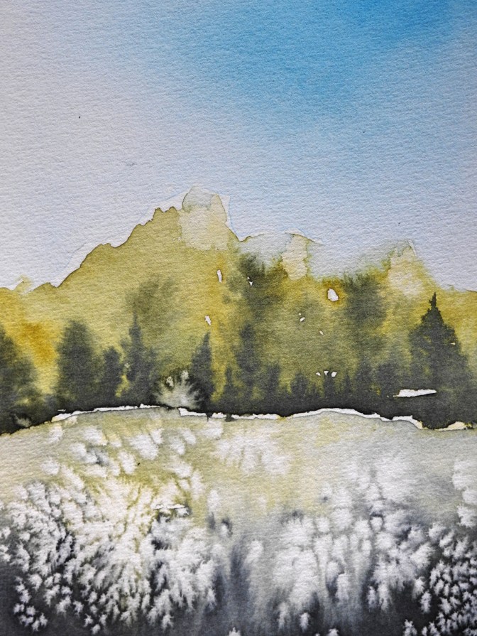 DSCN1580_green hill wc