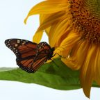 How My Answers Have Changed This Year