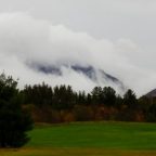 We Went In Search of Color