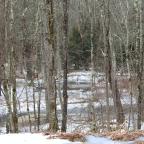 So Hard To Stay Focused