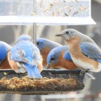 So Many Now Call My Place Home It Must Be The Food