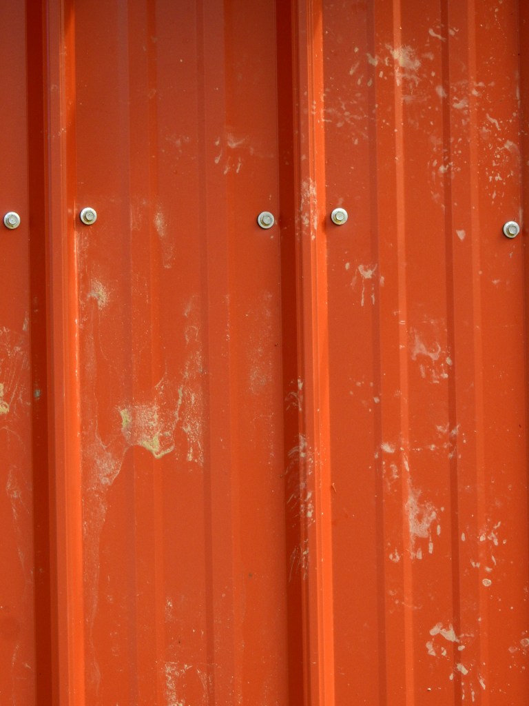 Raccoon prints on our new roofing material 