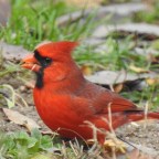 Finding Moments To Paint