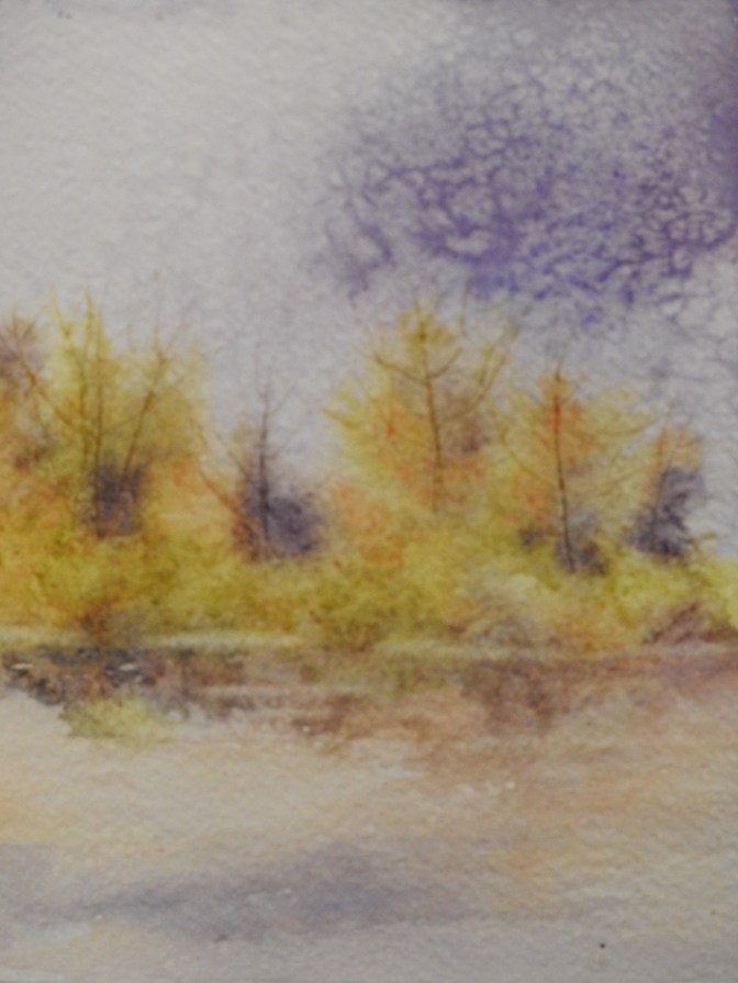 Watercolor by Eunice Miller @ folsommillstudio.com 