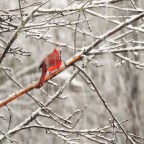 Watercolor Allows Me To Step Away