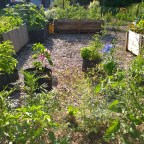 New England In Full Bloom