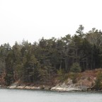 Cold Not Stopping Us