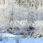 Snow Then Warmth Then More Snow