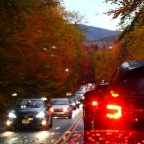 More Leaves and Traffic for Hours