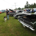 Let Me Introduce Brady