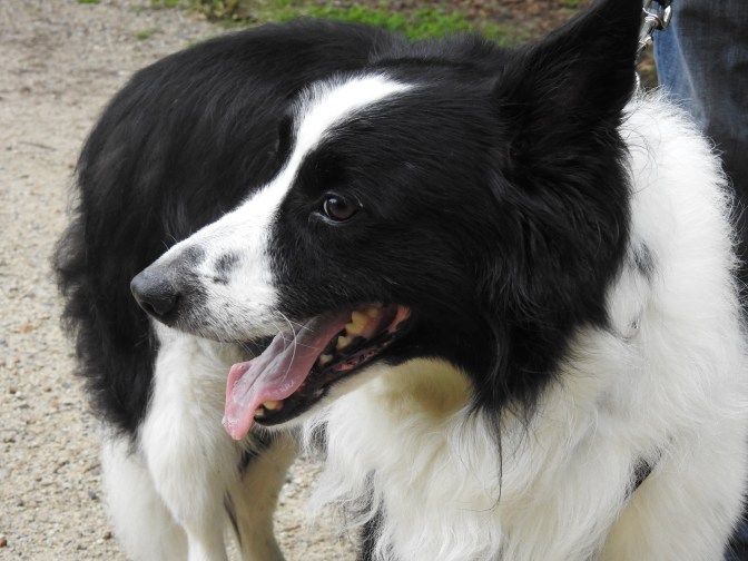 He also hates my camera like JT did.