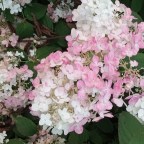 Six on Saturday-9/23/23