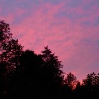 Silent Sunday-The Sky Lied