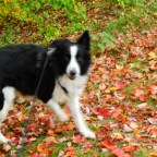 Getting as Much as We Can Done