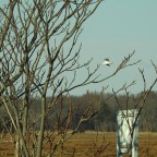 Boy Did the New Moon Mess with Us