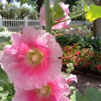 I Miss Summer Already