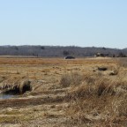 Silent Sunday- PINK HOUSE DOWN