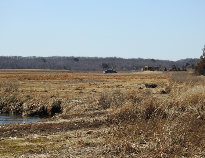 Pink House/Spite House gone from Plum Island marsh