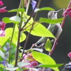 Thursday- More Fun Tonight