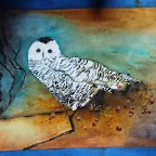 Six on Saturday-Assorted Shots