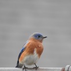 Shooting with my Buddy