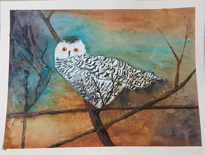 Snowy Owl Watercolor