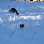 Art, Snow, and Meals: A Cozy Evening at Home