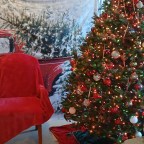 Working on these Penguins