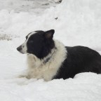 Christmas Eve Gift for Brady